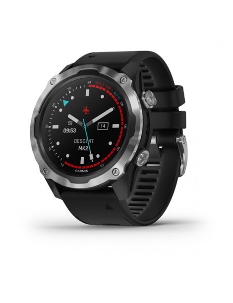 Garmin Descent Mk2 -Stainless Steel with Black Band