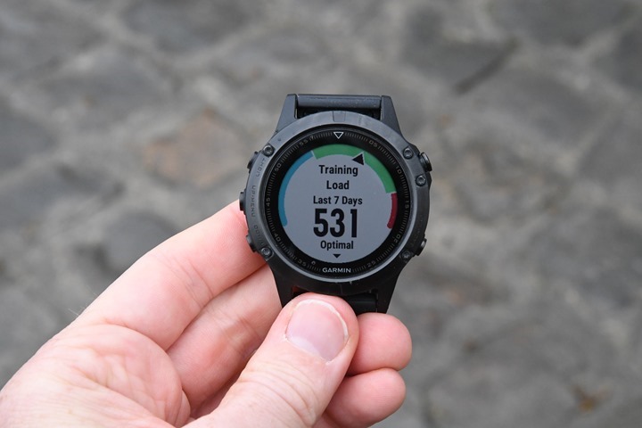 Garmin-Fenix5-TrainingLoad_thumb.jpg